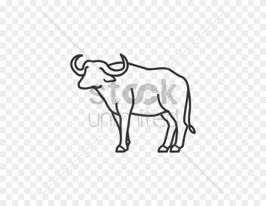 Vector Transparent Library Buffalo At Getdrawings Com - Water Buffalo Out Line Clipart