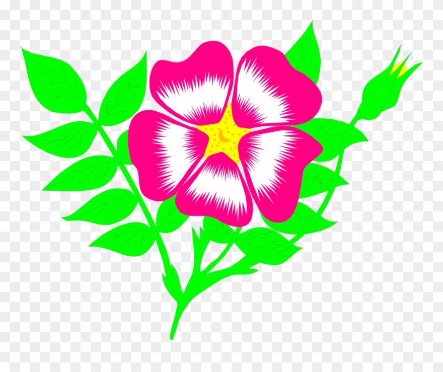 Clip Arts Related To - Animated Flowers - Png Download