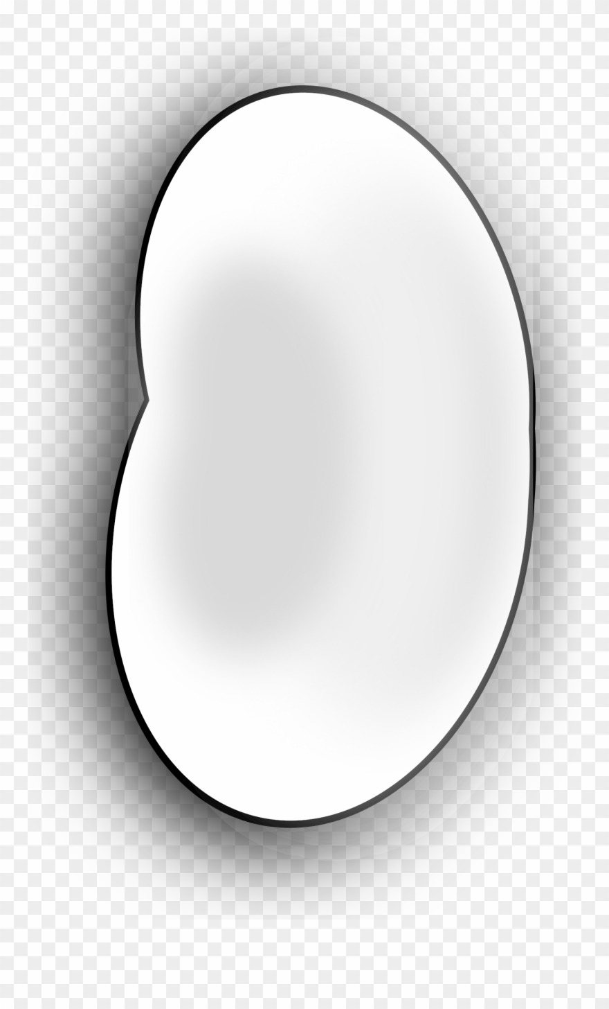 Pasta E Fagioli Common Bean Navy Bean Legume - Bean Clipart