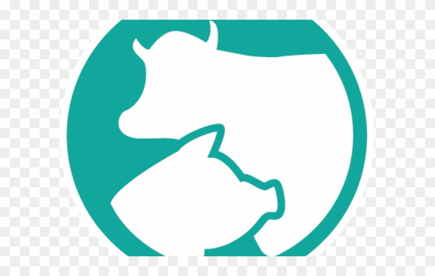 Steak Clipart Ground Beef - Png Download