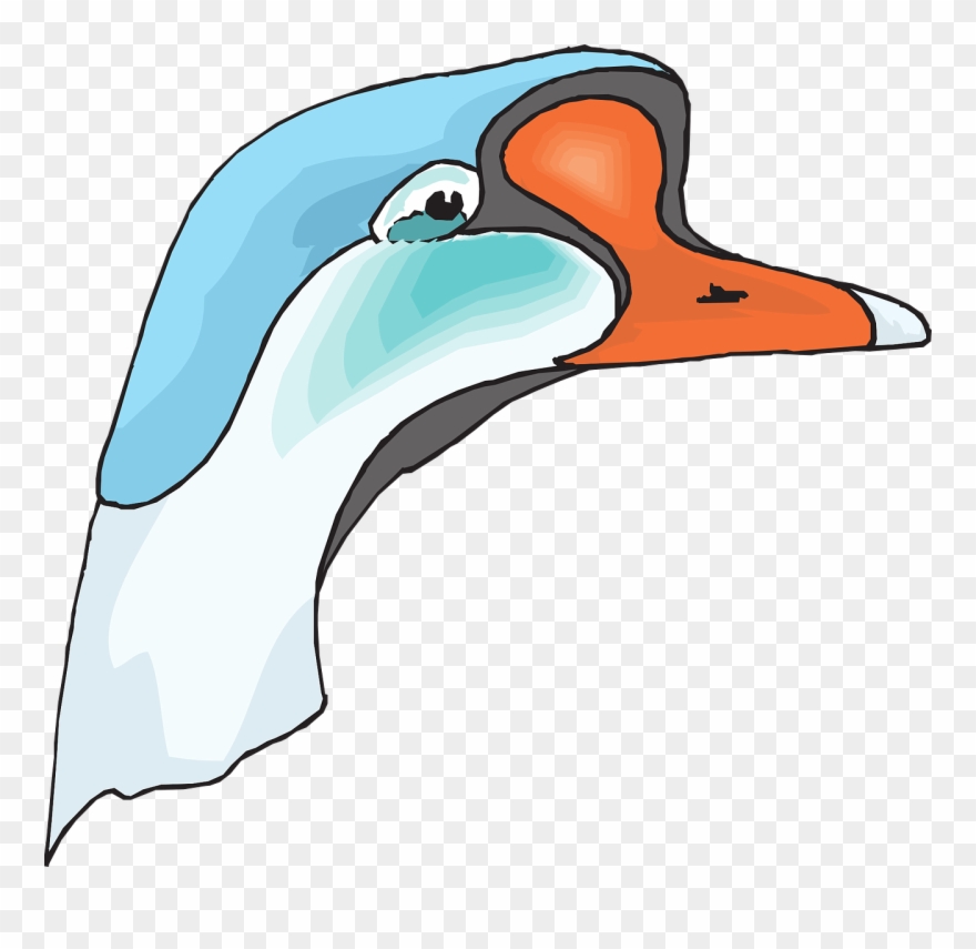 Clip Art At Clker Com Vector Online - Cabeza De Ganso Png Transparent Png
