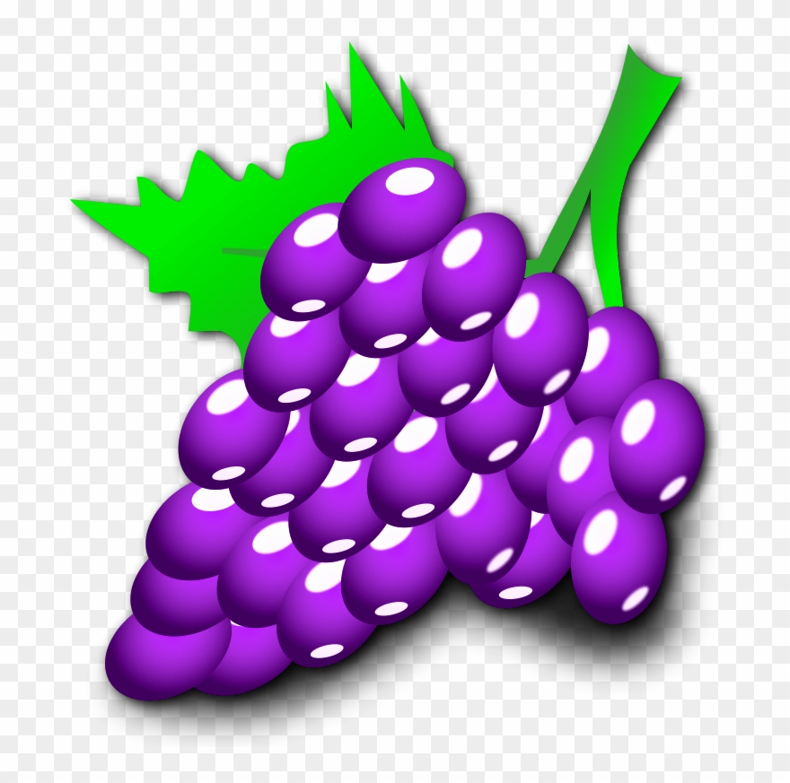 Nicubunu Grapes Image - Purple Grapes Shower Curtain Clipart