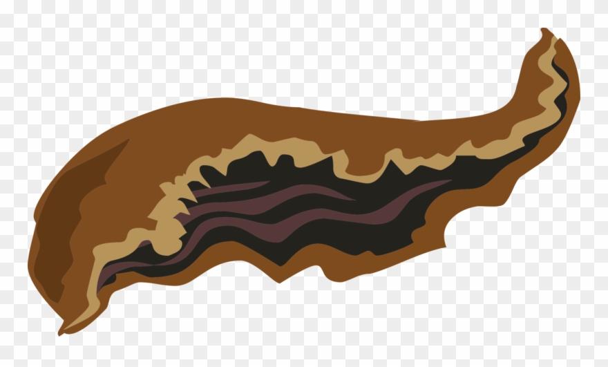 Goat Sheep Computer Icons Livestock Diagram - Goat Ears Png Clipart