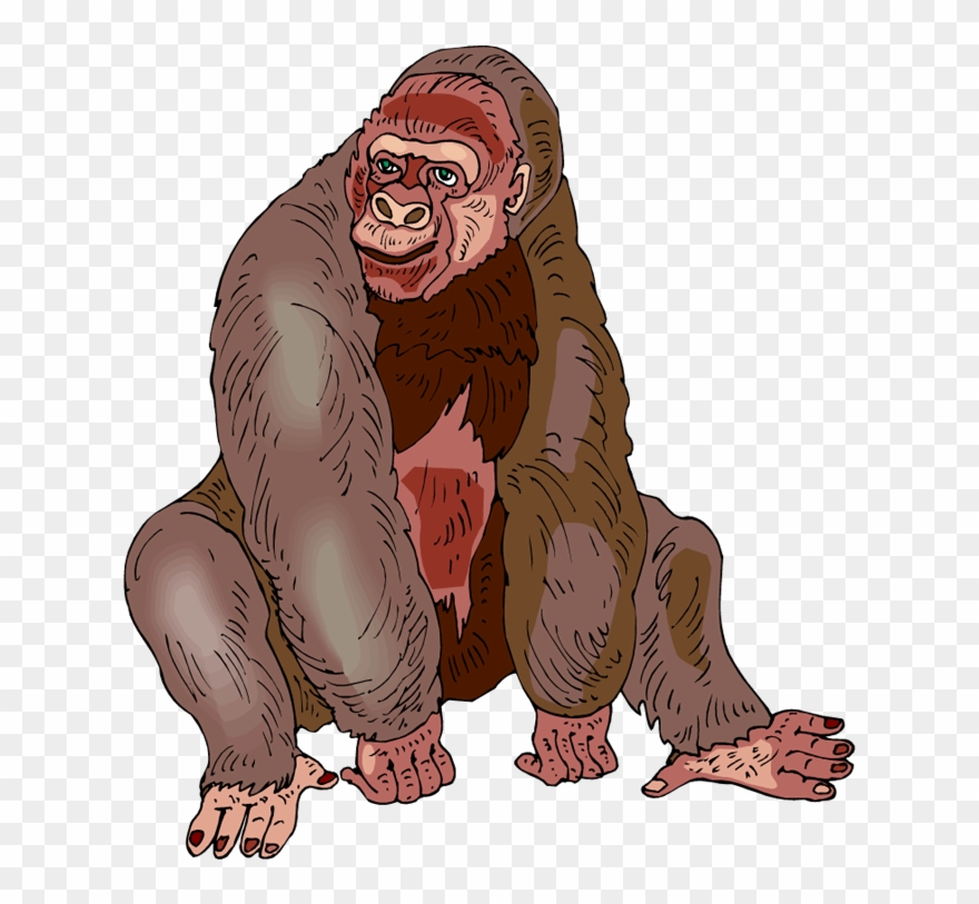 Image Gorilla - Gorilla Clipart