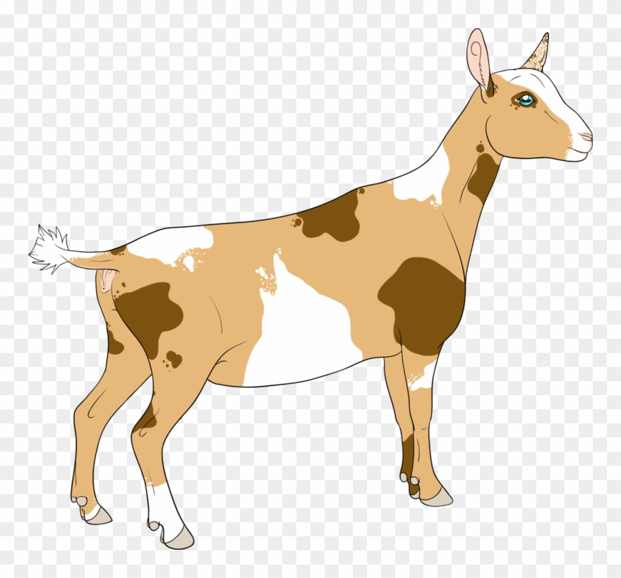 Collection Of Nigerian Dwarf High Quality - Nigerian Dwarf Goat Clipart - Png Download