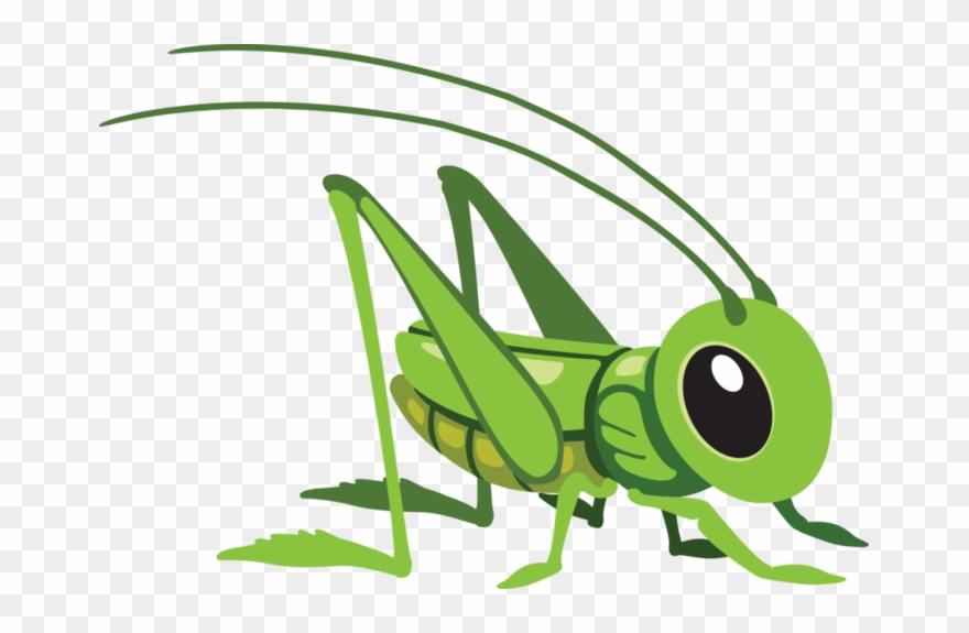 Clipart Black And White Stock Png - Cartoon Grasshopper Transparent Png