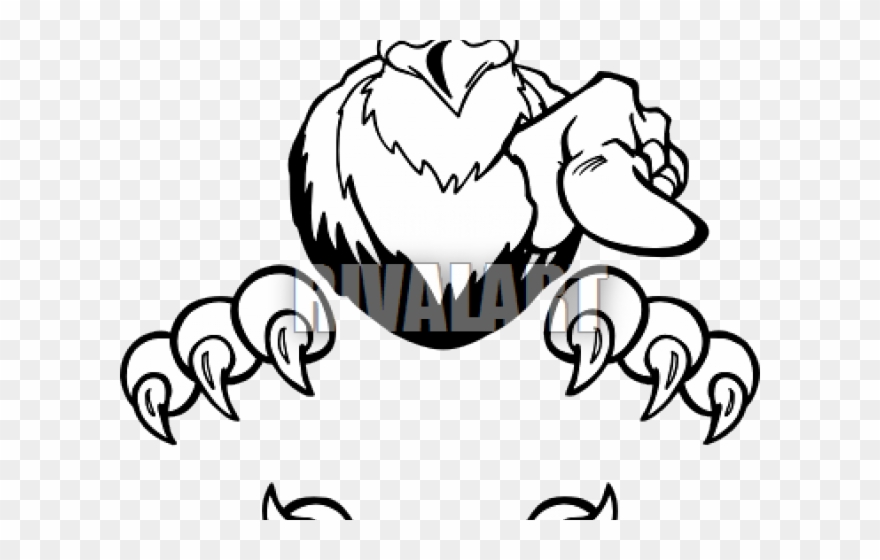 Hawk Clipart Talon - Png Download