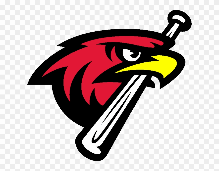 Hawk Clipart Nighthawk - Air Force Falcons Baseball Team - Png Download