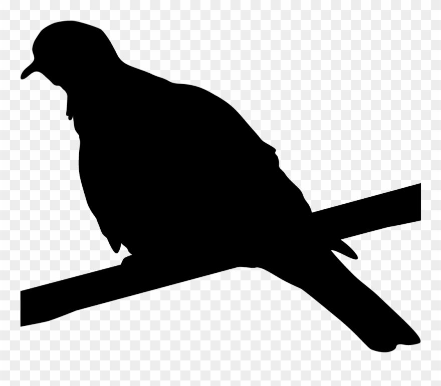 Blackbirds Browse By Shape All About Birds - Mourning Dove Silhouette Clipart