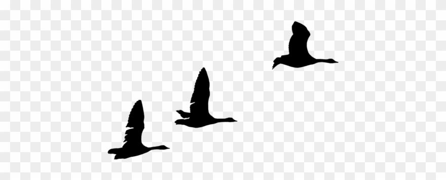 Clip Arts Related To - Flying Geese Silhouette Png Transparent Png