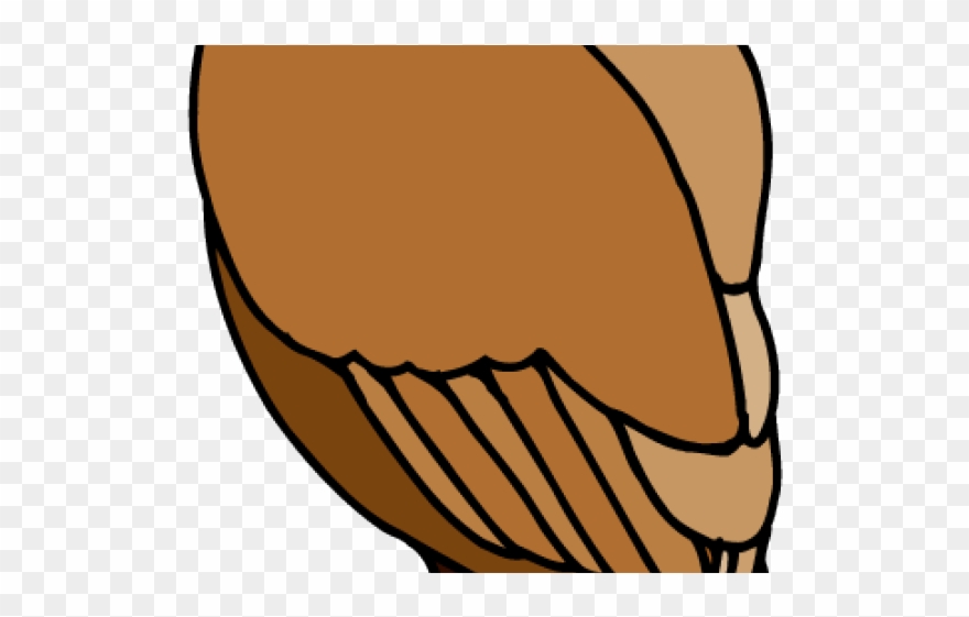 Hawk Clipart Friendly - Clip Art - Png Download