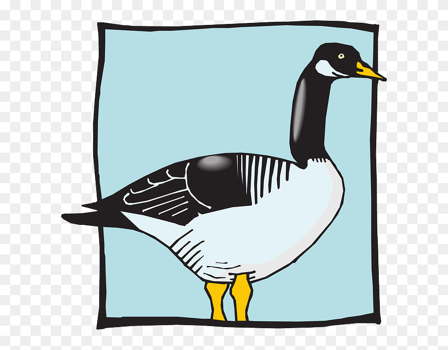 Clip Art Clipart Duck Goose Clip Art - Photograph - Png Download