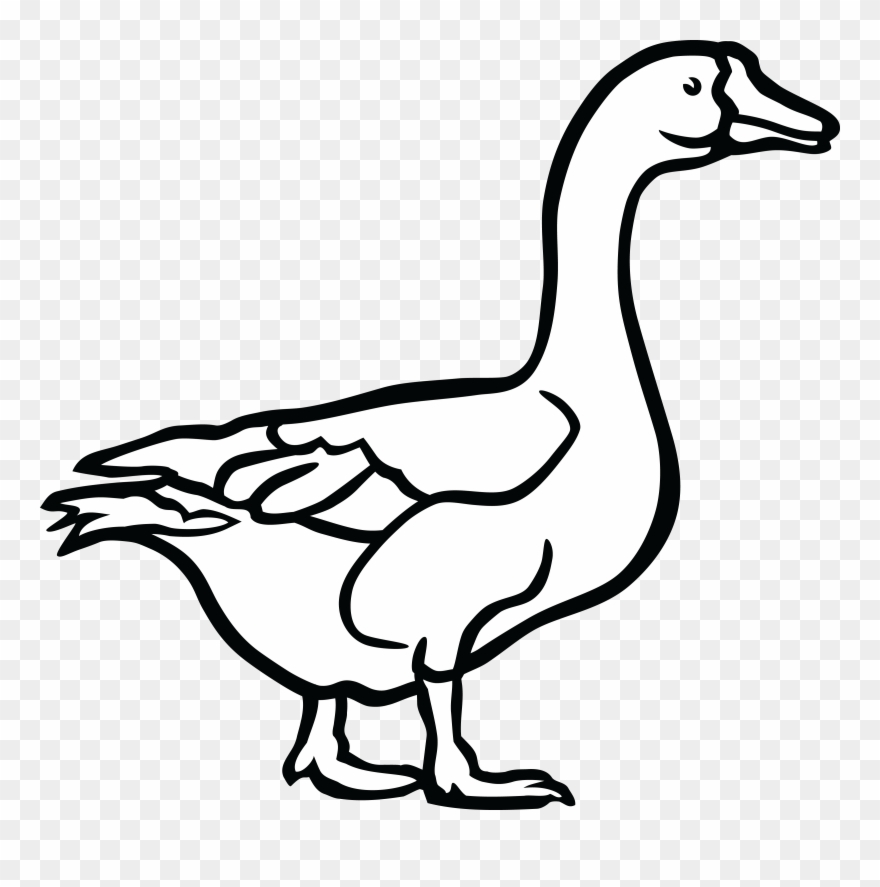 742 Free Clipart Of A Goose In Black And White Duck - Goose Black And White Clip Art - Png Download