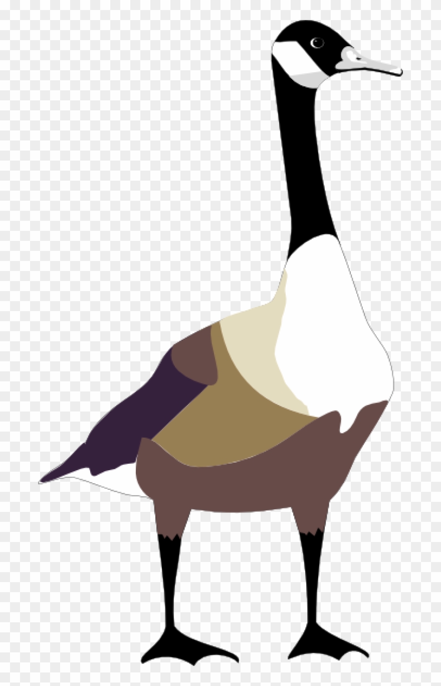 Bird Free Vector - Cartoon Canadian Goose Png Clipart