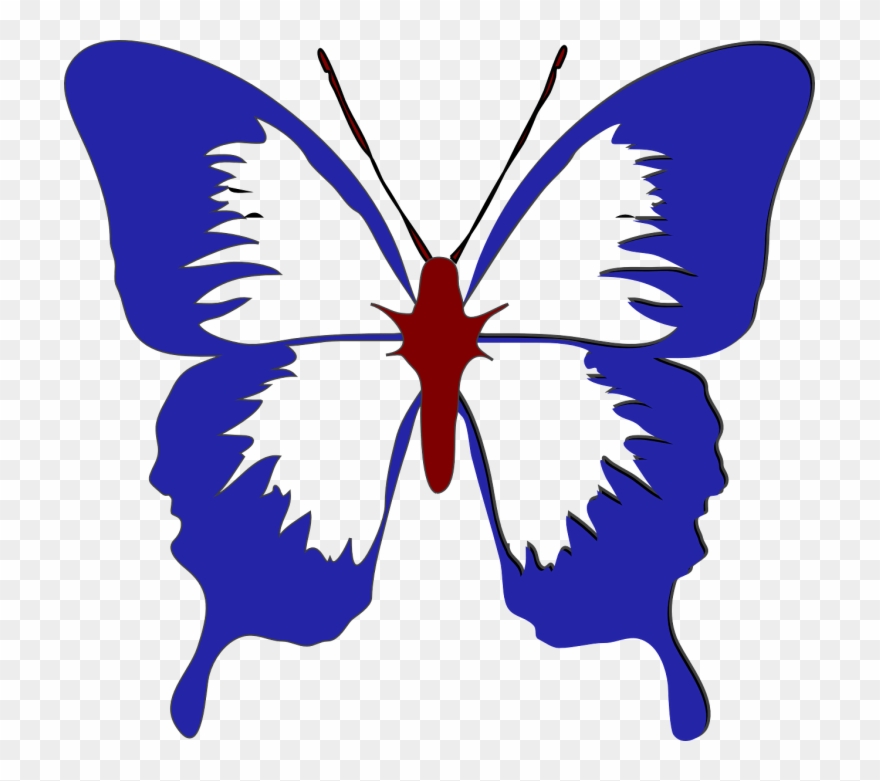 Rwb Butterfly - Gambar Kupu Kupu Cantik Clipart