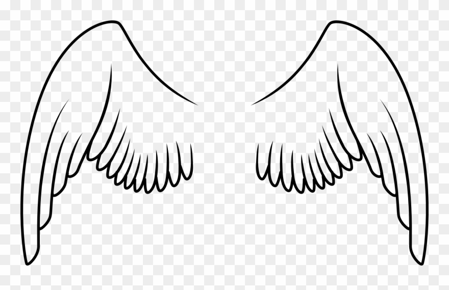 Being A Fan Doesn T Mean Being There From The Start - Alas De Ave Para Colorear Clipart