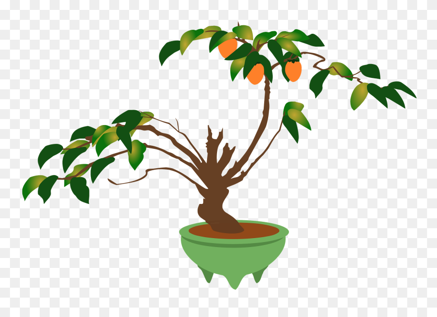 Branch Bonsai Flowerpot Ornamental Plant Houseplant - Tree Pot Clipart - Png Download