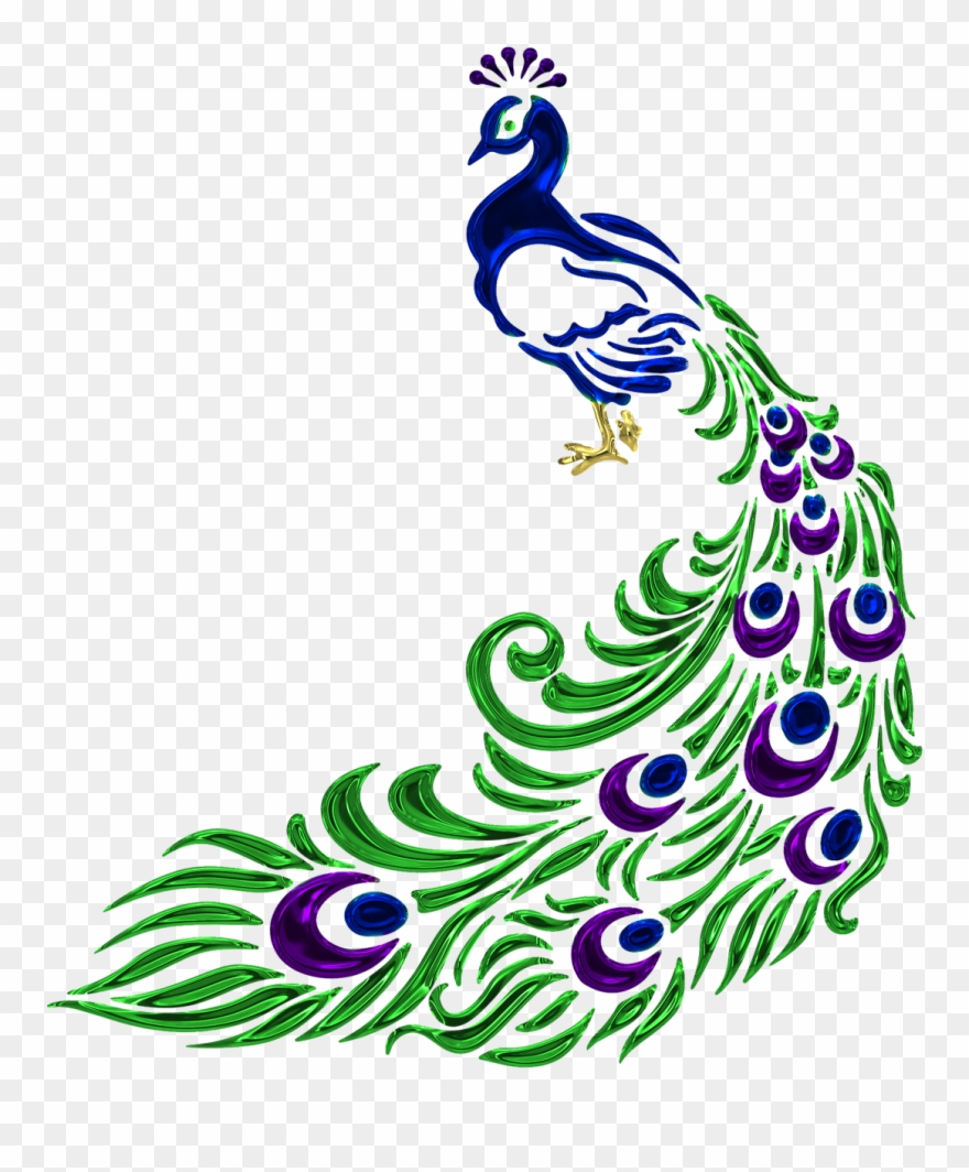 Vector Black And White Free Image On Pixabay - Peacock Vector Black And White Clipart