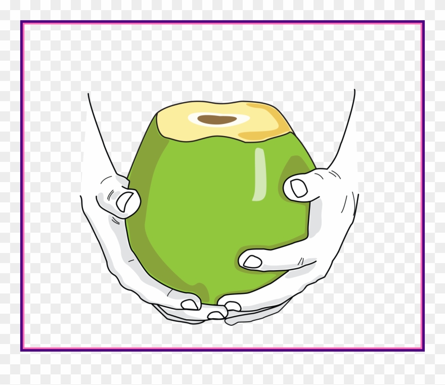 Coconut Clipart Cute - Harmless Harvest Thailand Ltd - Png Download