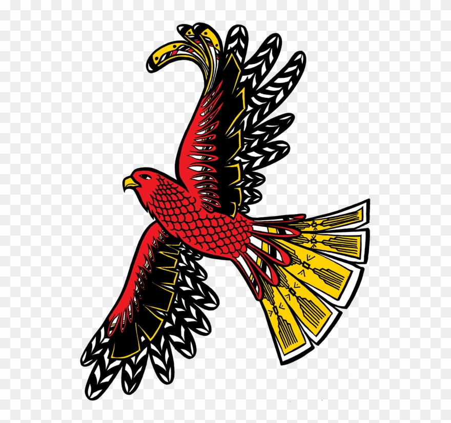 Eagles Clipart Life Cycle - Hawk - Png Download