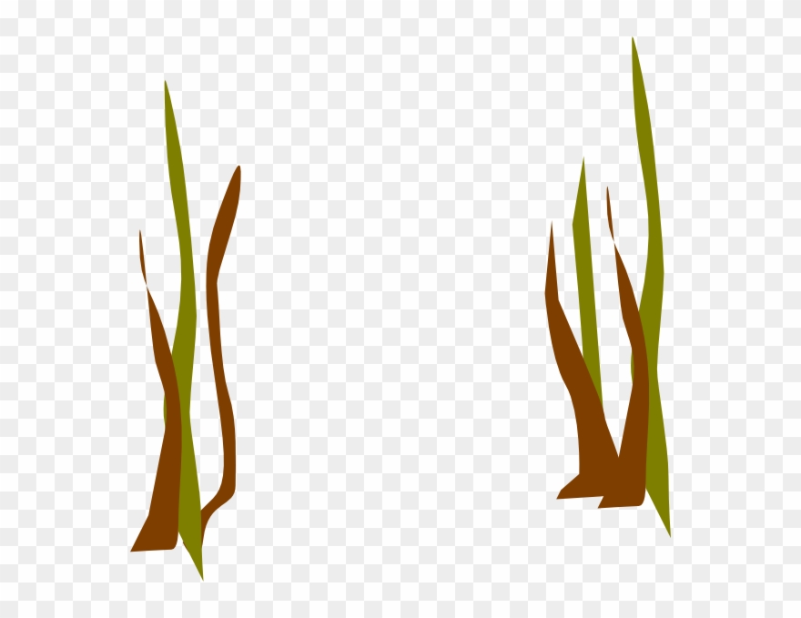 Dead Reeds Clip Art At Clker - Dead Grass Clip Art - Png Download