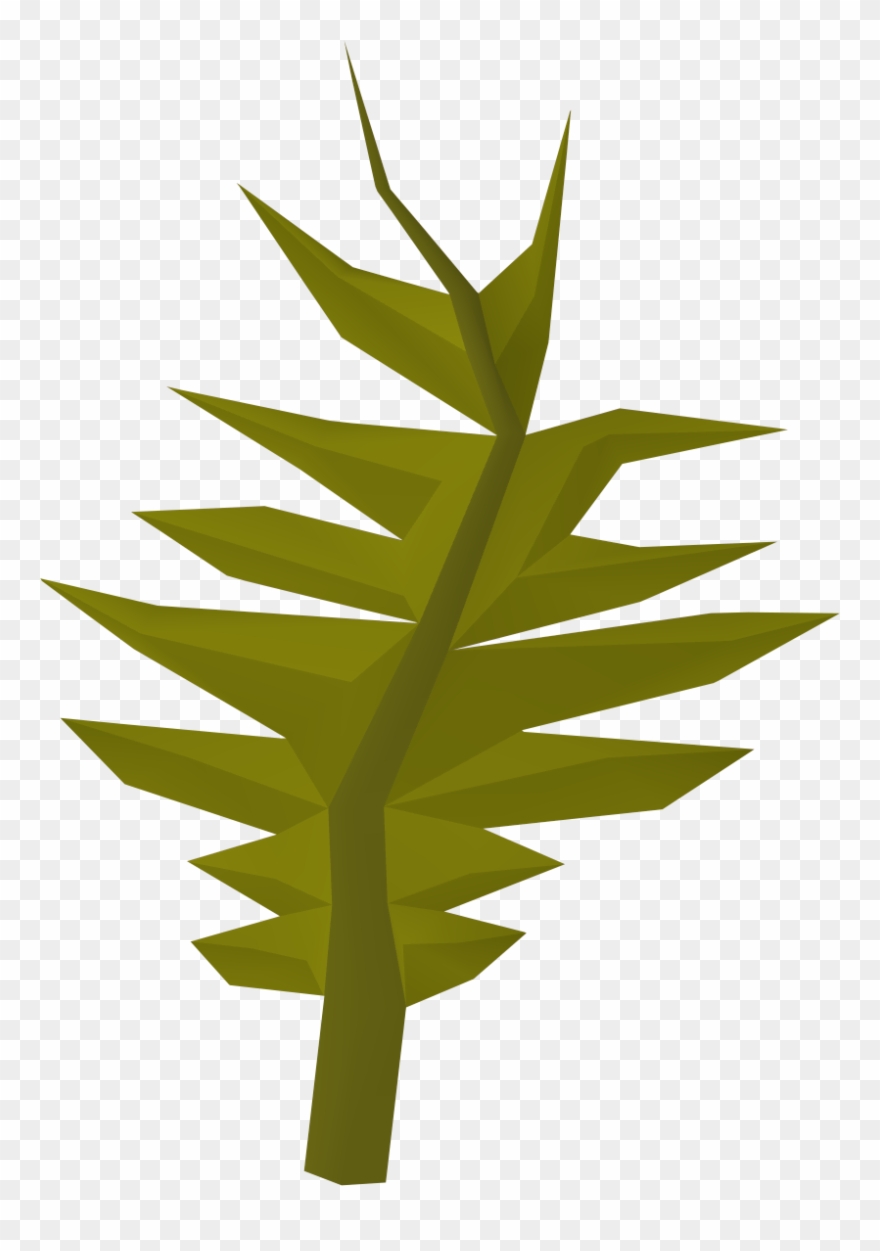 Seaweed Clipart Swamp - Wiki - Png Download