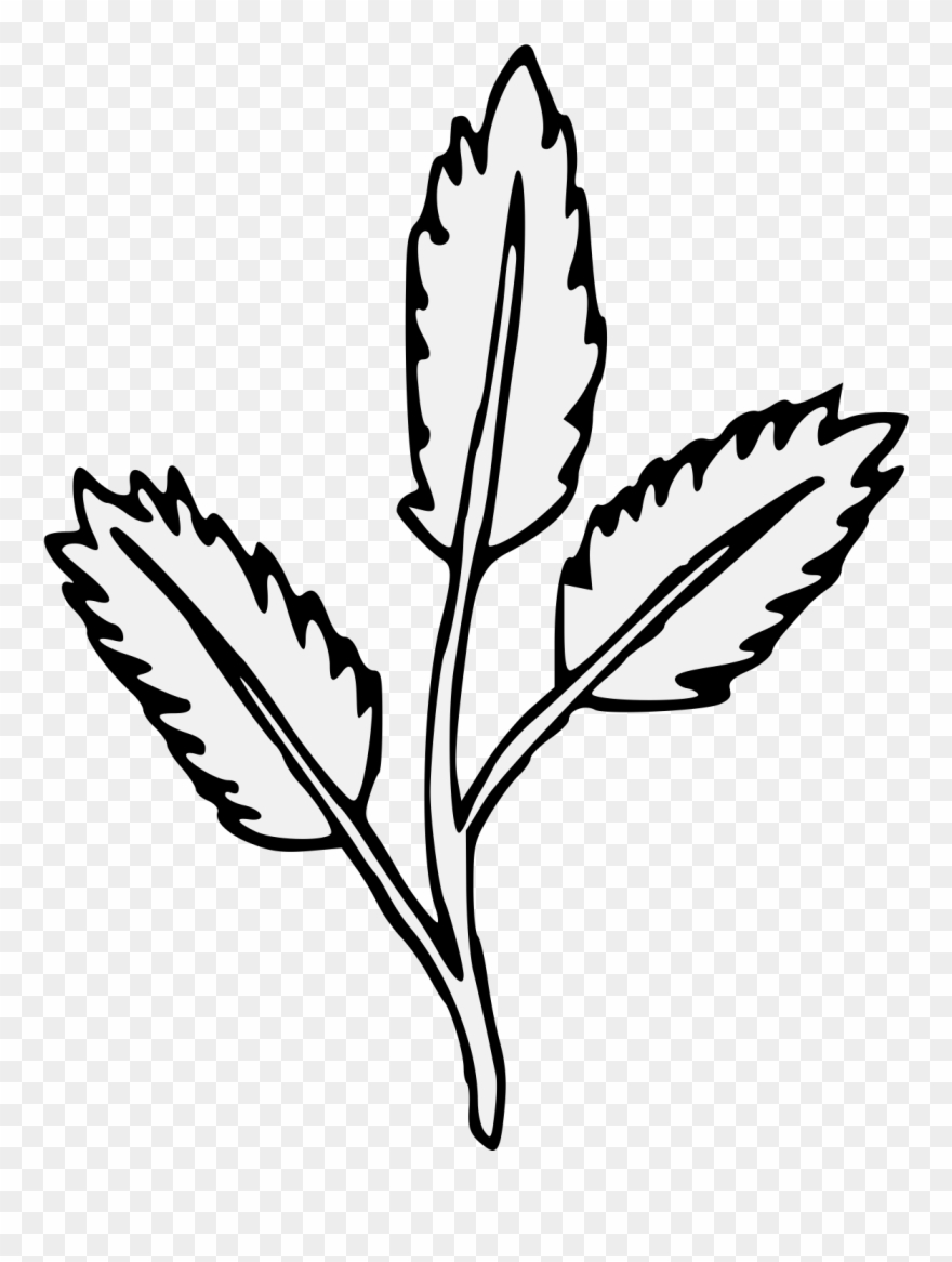 Pdf Clipart