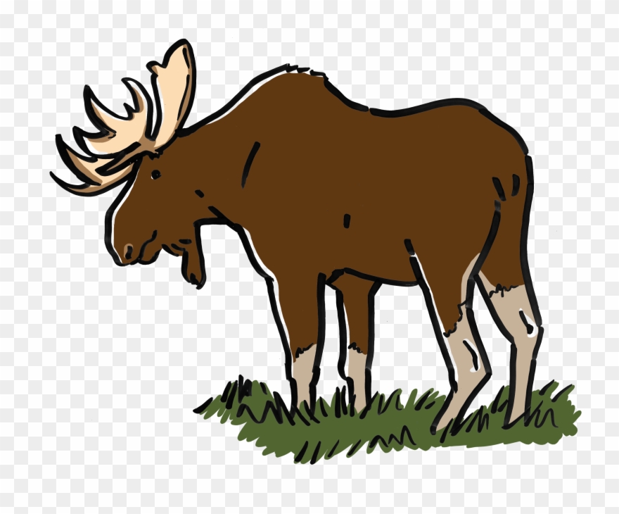 10 Moose Col Clipart