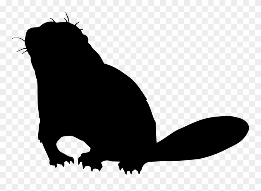 Info Clipart