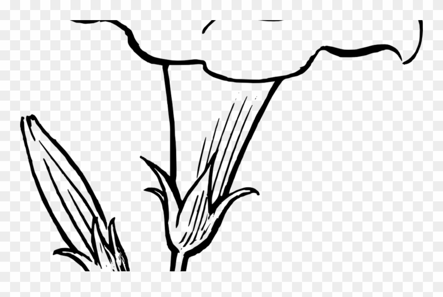Simple Flower Clipart Black And White Clipart Panda - Png Download