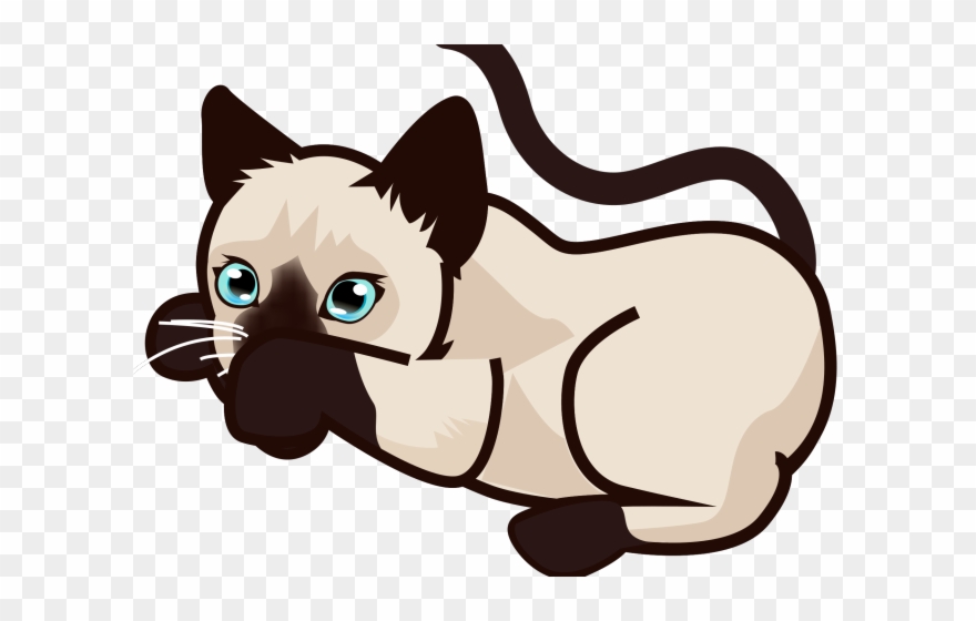 Siamese Cat Clipart Siamese Twin - Png Download