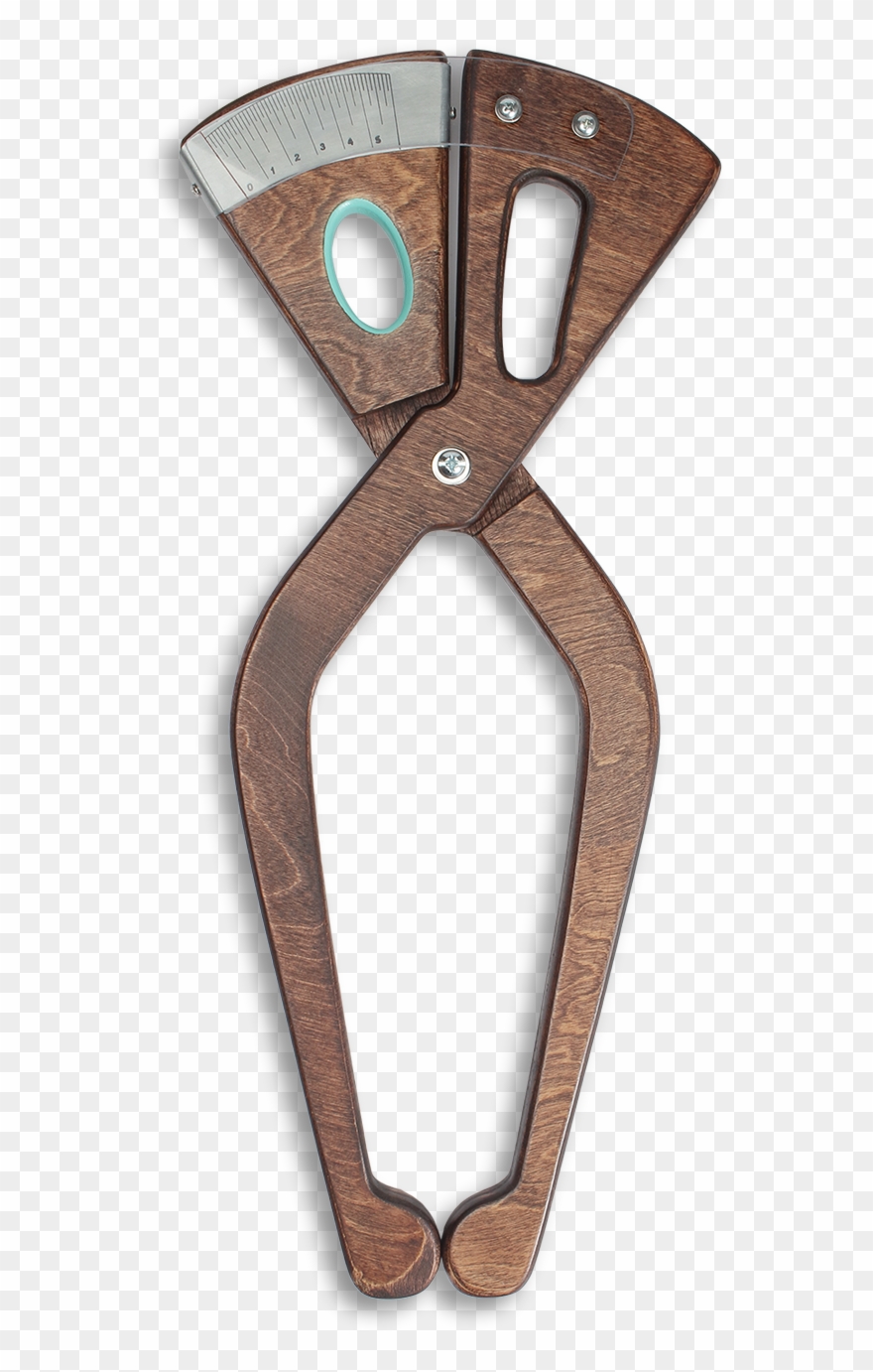Vissla X Olive Tree Caliper Clipart