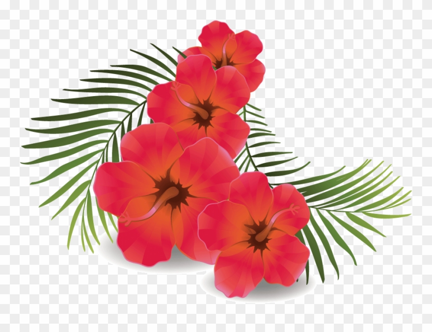 Download Hd Rose Flower Transparent Background Clipart