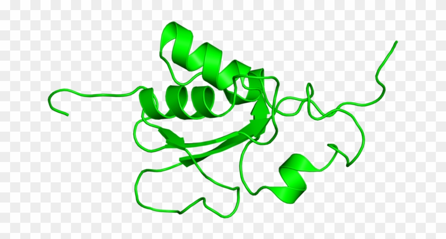 <div Class='caption-body'>1 Copy Of Cath Domain Clipart