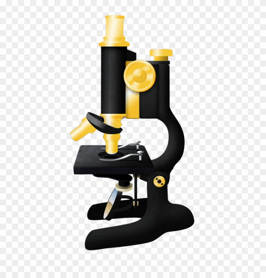 900px Imagej2 Icon Clipart