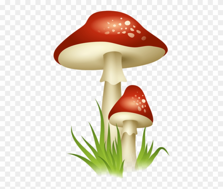 Download Mushroomspicture Clipart Png Photo Transparent Png