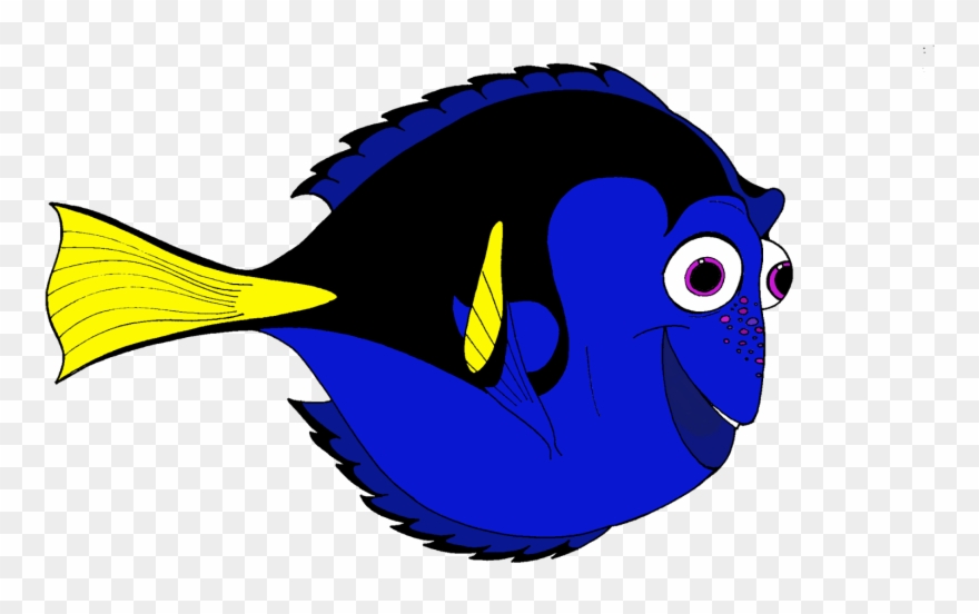 Marlin Clownfish Drawing Zebra Transprent Png Free Clipart