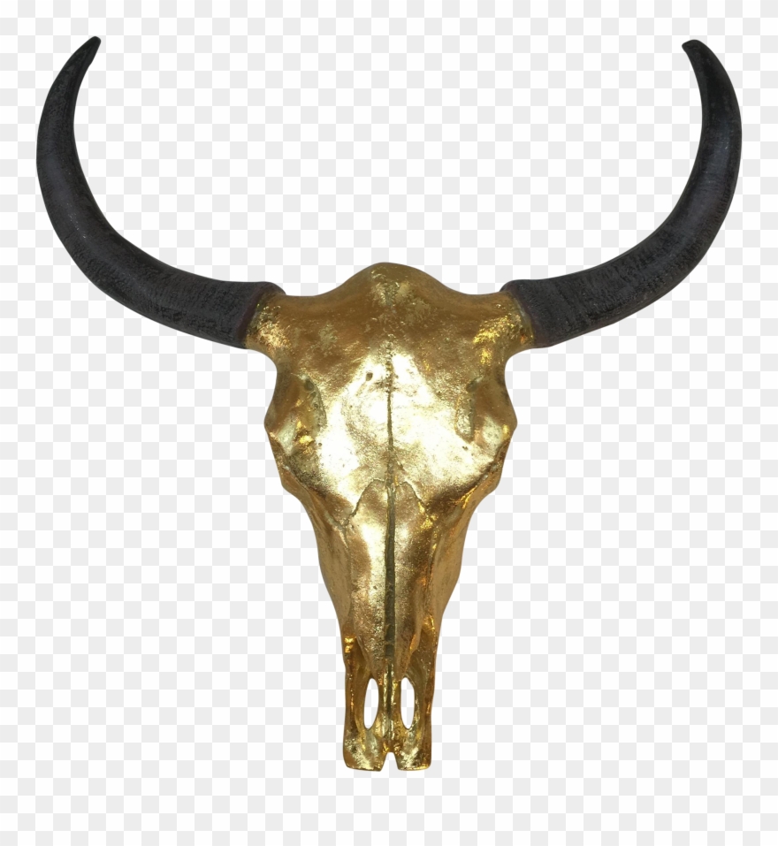 Cow Skull With Gold Leaf Chairish Clipart