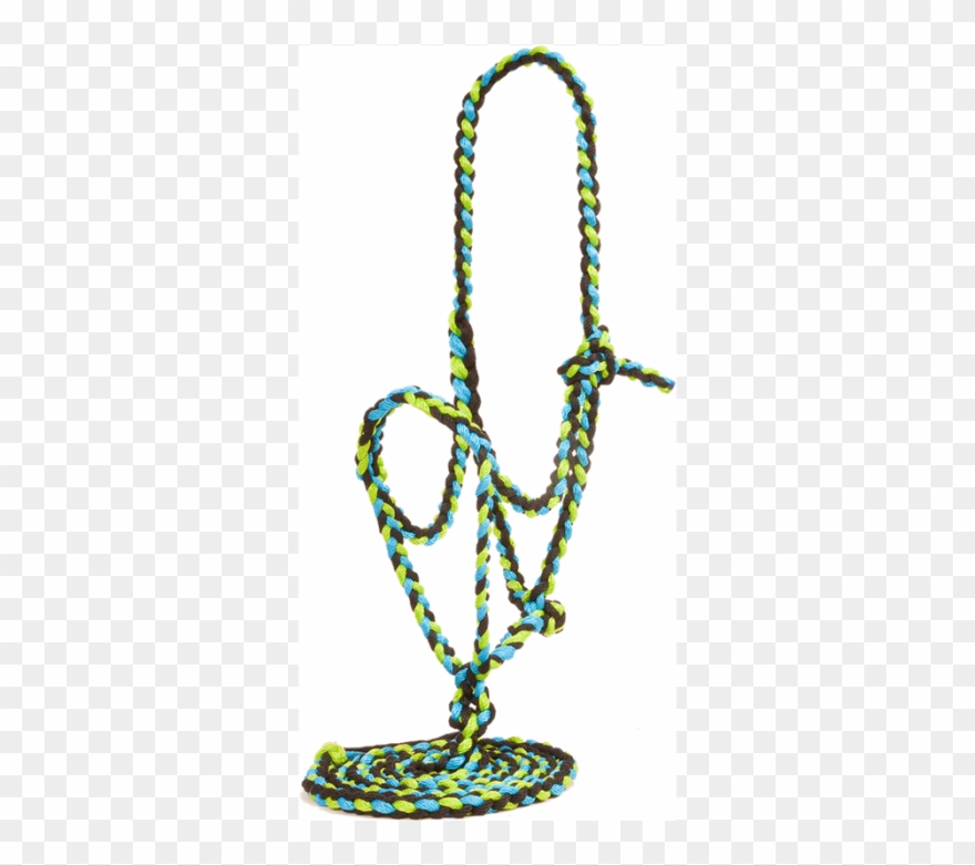 Mustang Flat Nose Braided Halter Clipart