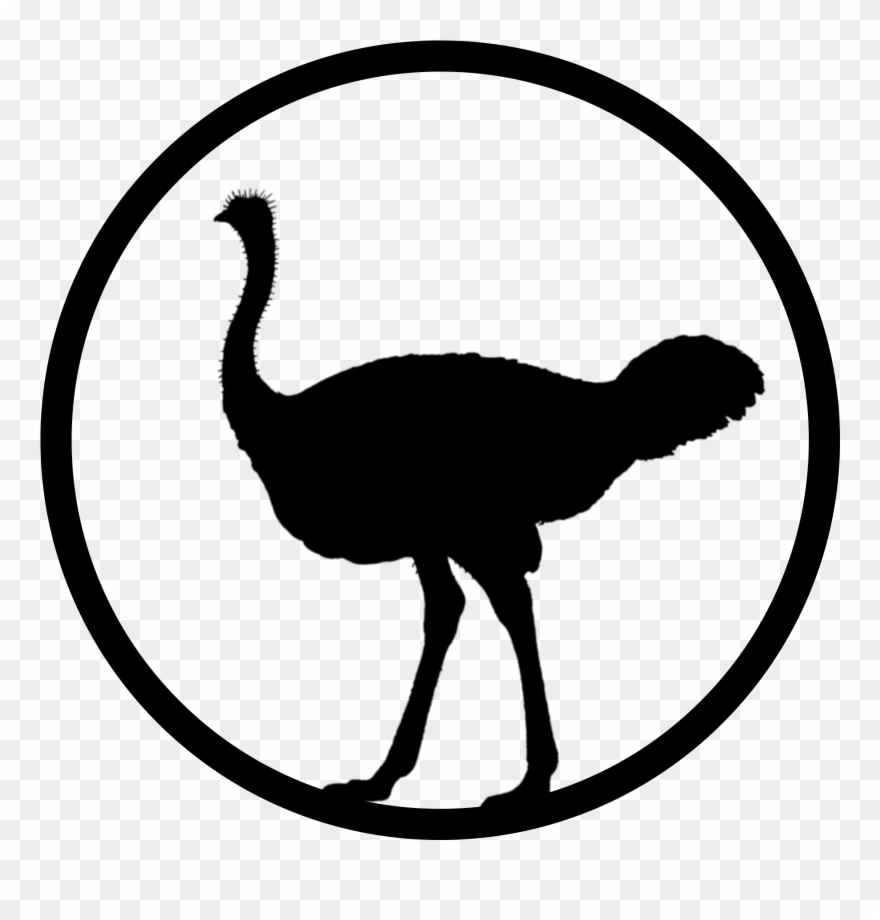 Healthy Breakfast By Boogie Knights Dane Wheaton Ⓒ Clipart