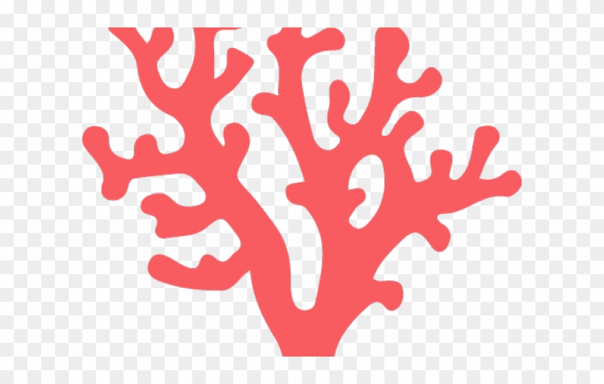 Coral Clipart Transparent Tumblr - Png Download