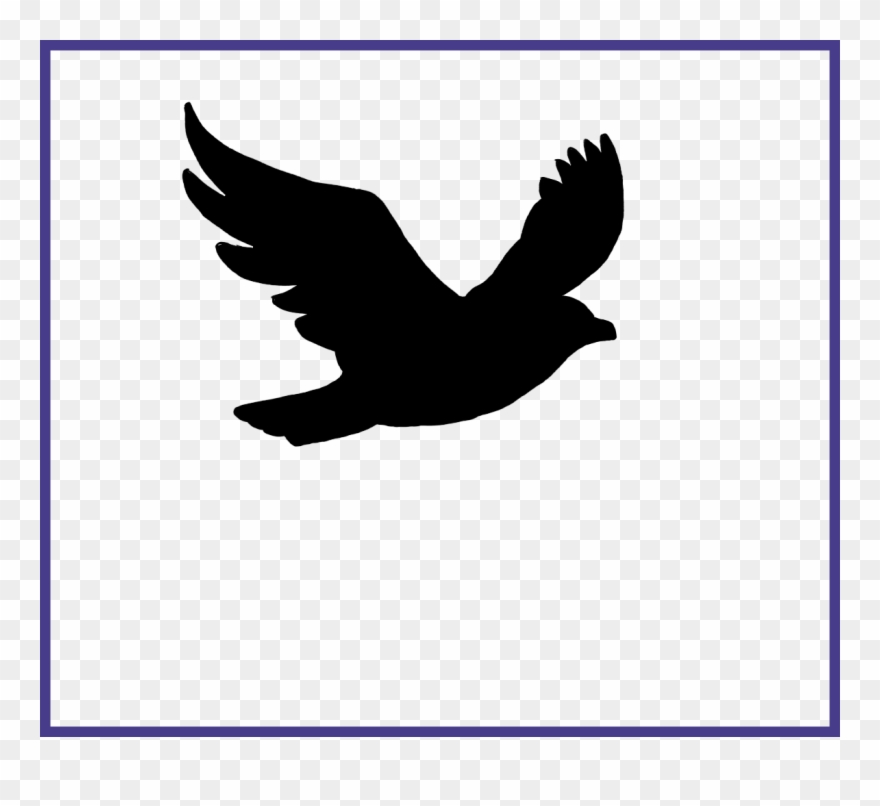 Fly Clipart Flying Fly - Png Download