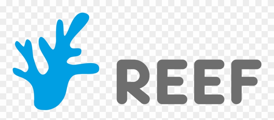 Apachereef Logo Square , Png Download Clipart