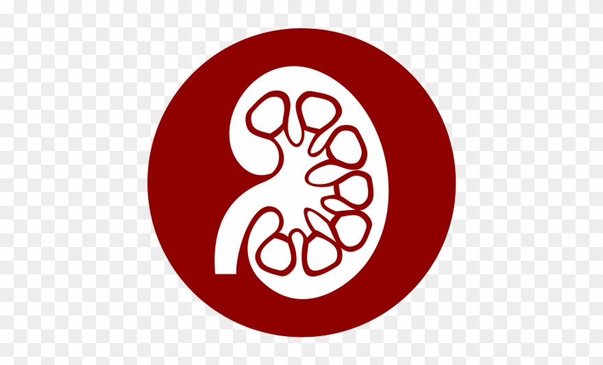Nephrologists Fort Worth Texas Clipart