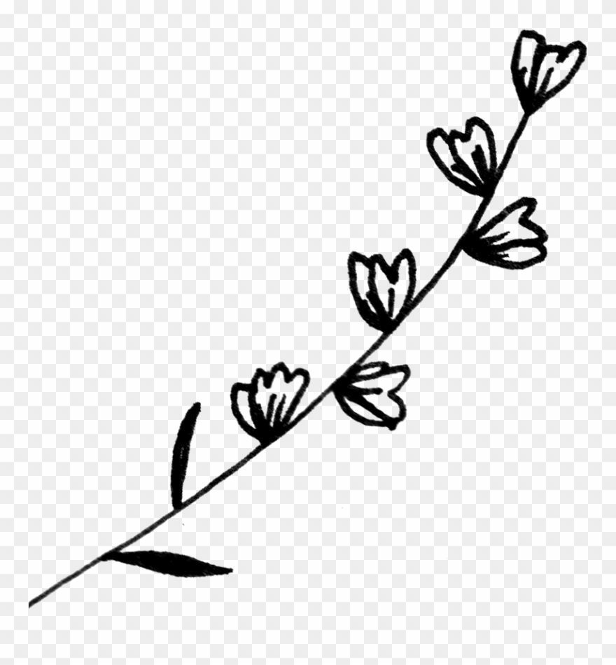 Flowers Kitchen Illustration Clipart