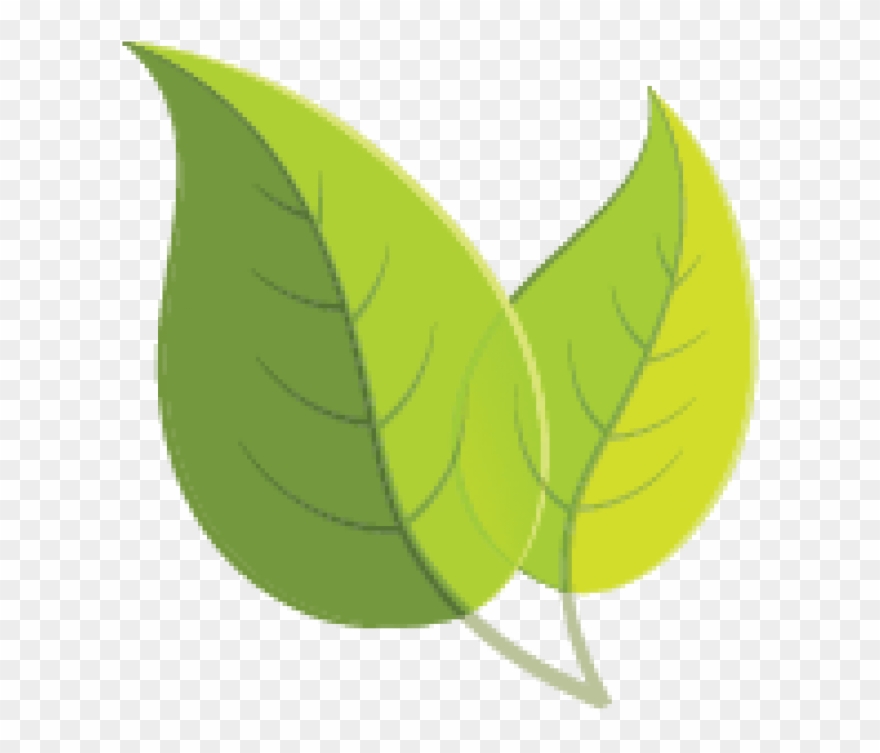 Spring Seed Line-up Clipart