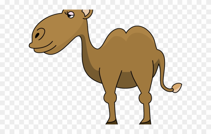 Camel Clipart Sad - Png Download