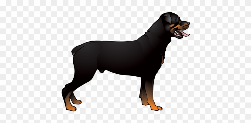 Printed Vinyl Dog Stickers Factory Clipart