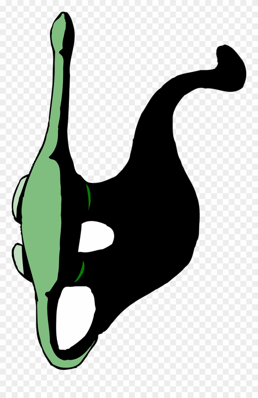 Top View Shadow Clipart
