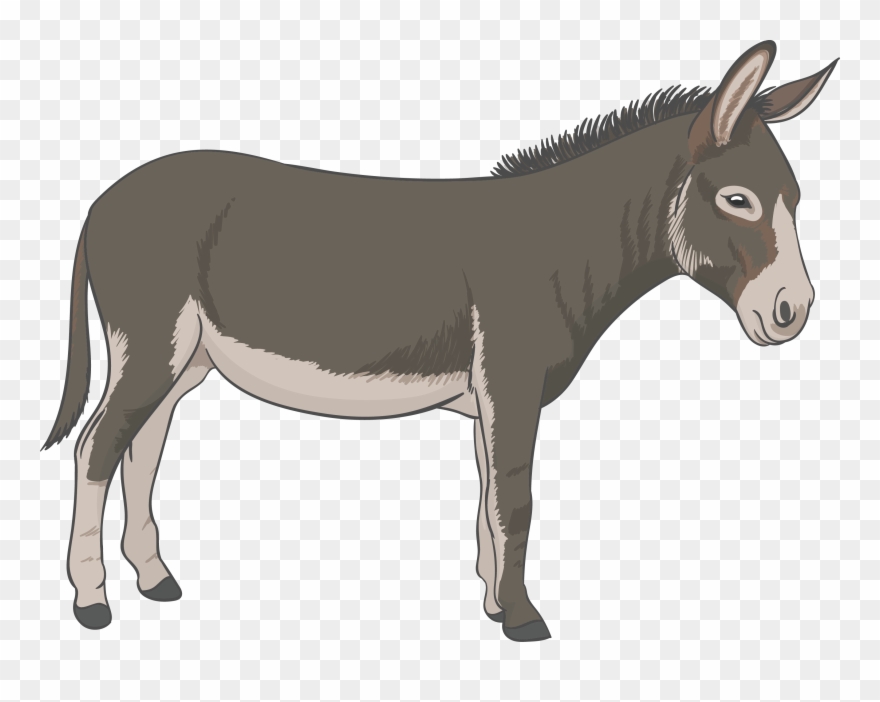 Mule Clip Art - Png Download